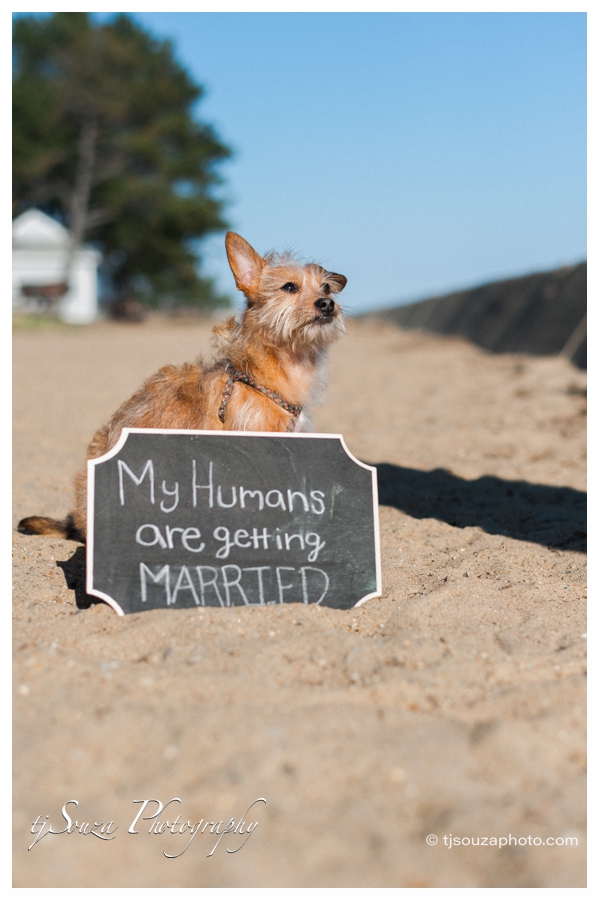 salisbury beach engagement photos